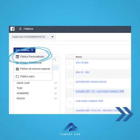 Opção Público Personalizado no menu do Gerenciador de Anúncios.